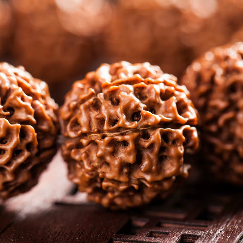 Close-up of natural brown fashion Rudraksha beads bracelet for meditation and spiritual use